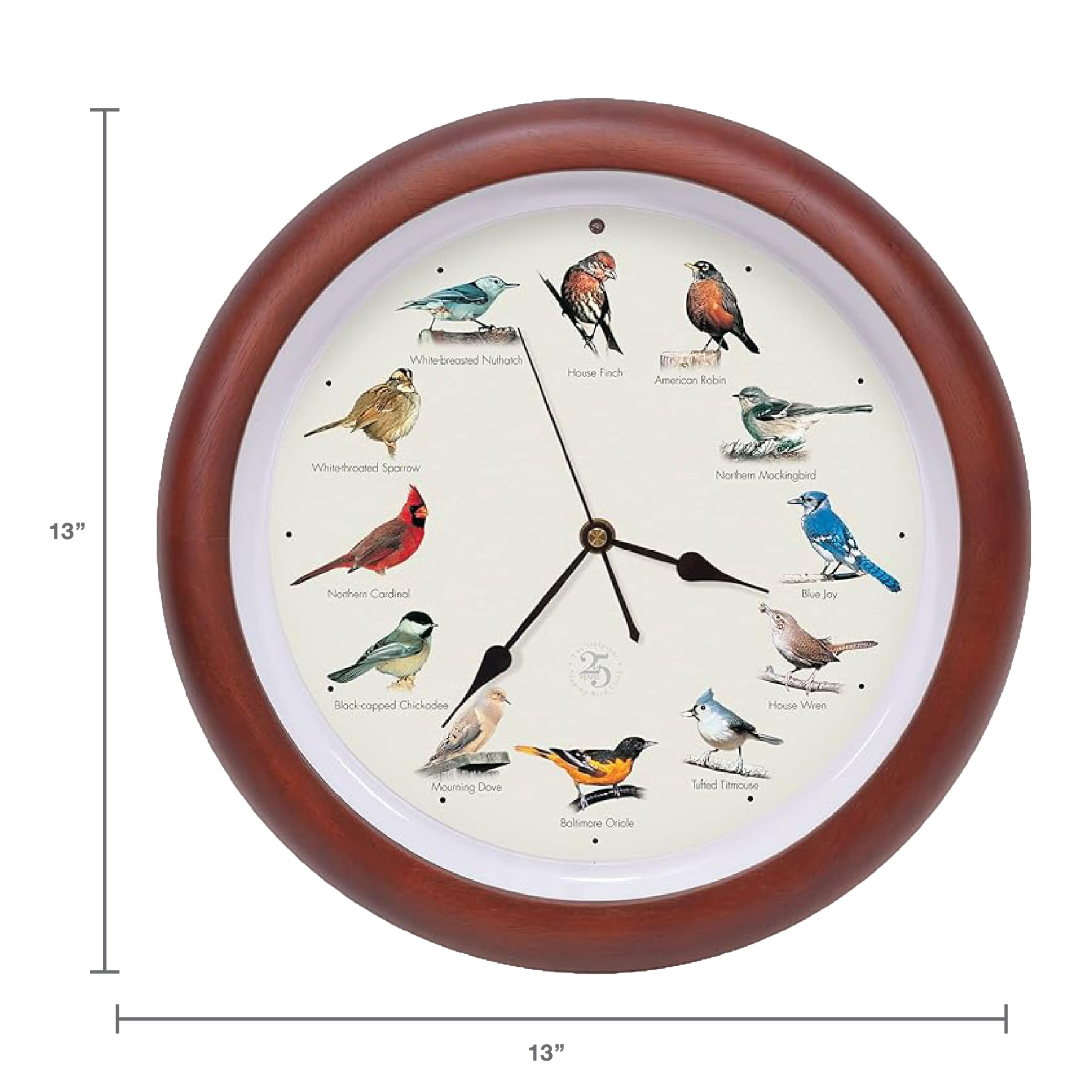 Amazon.com: Mark Feldstein, The Original Singing Bird Clock, 25th